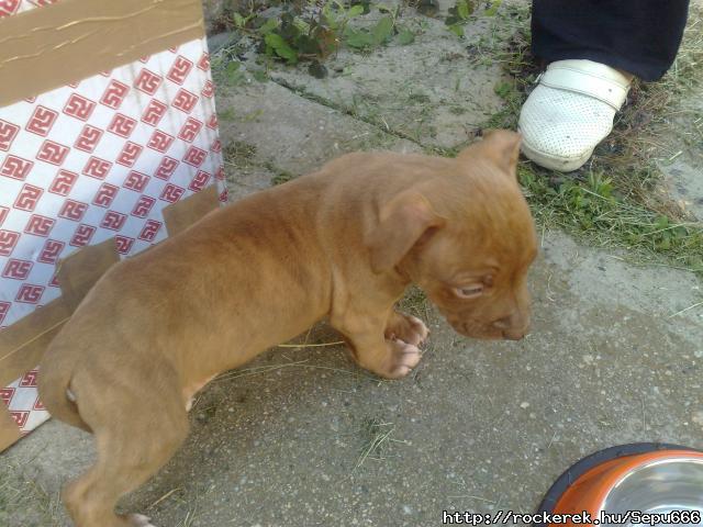 Zeus2