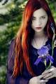 Seraphina