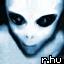 Sharer