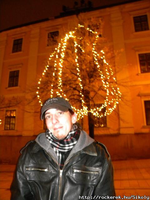 Pcs 2010