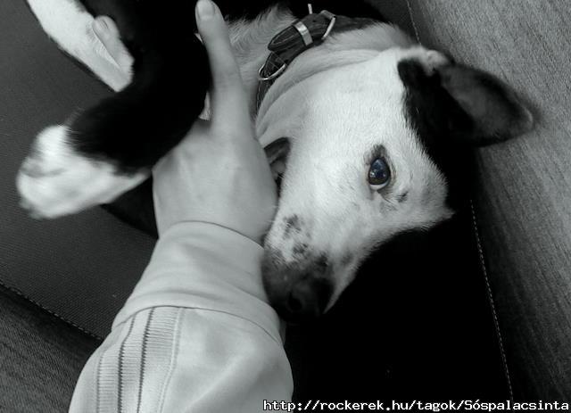 Marshall baba (L)