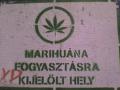 Kedvenc helyem!!!!!!!