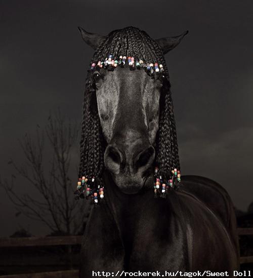 horse1thumb550x603