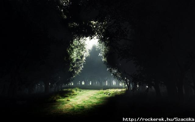 dark_forest-1920x1200