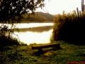 DSC01415