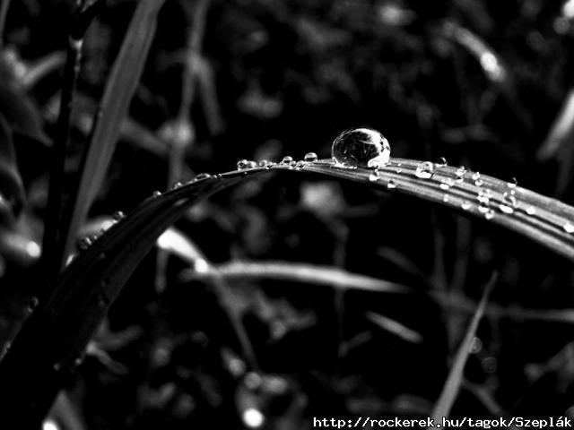 In the Dark II