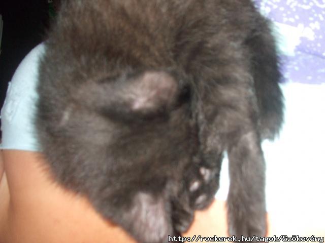 LuCiFeR alszik (: