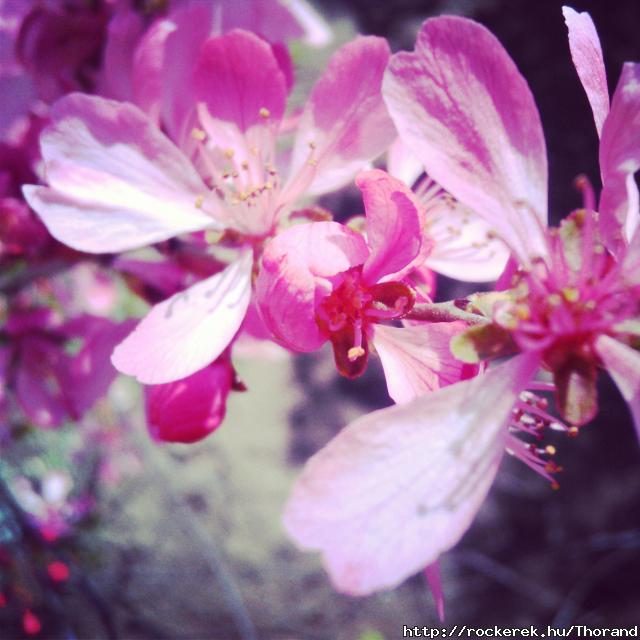 IMG_20130422_114101