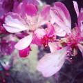 IMG_20130422_114101