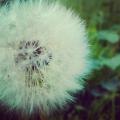 IMG_20130503_210916