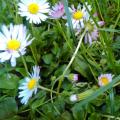 IMG_20130504_182232