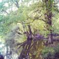 IMG_20130504_182843