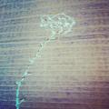 IMG_20130531_183519