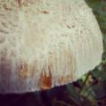 IMG_20130603_191029