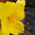 IMG_20130604_155750