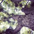 IMG_20130615_125803