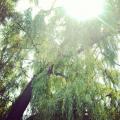 IMG_20130615_125837