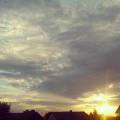 IMG_20130727_145444