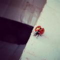 IMG_20130723_191555