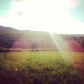 IMG_20130721_161759