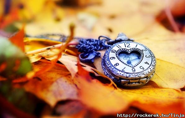 clock-dial-hands-leaves-1526