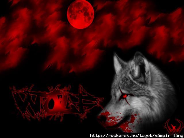 Wolf