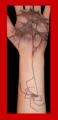 spider_tattoo_by_deep_fried_banjo