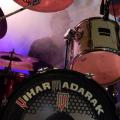 Viharmadar_Gergo