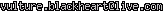 msn