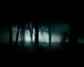 Dark-Forest-1