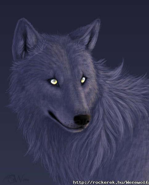 Black Wolf