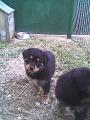 !cid__Cam000213