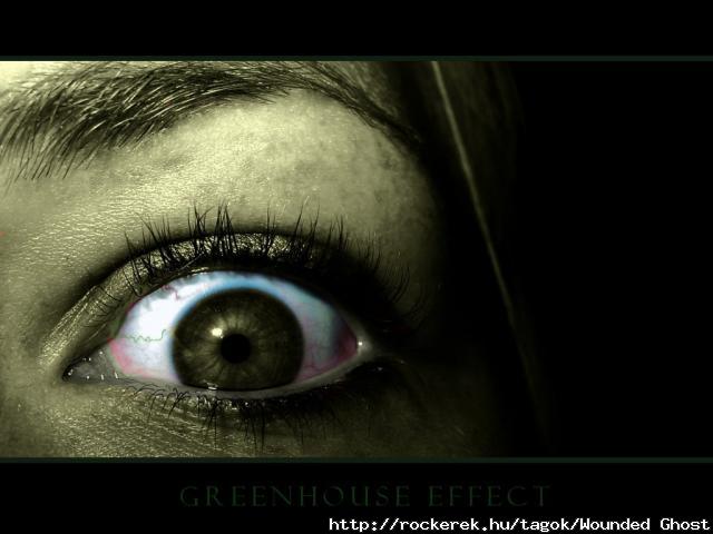 Greenhouse Effect