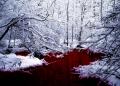 Dark-Creepy-1120