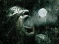 Dark-Skull-17695