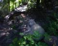 DSC00028