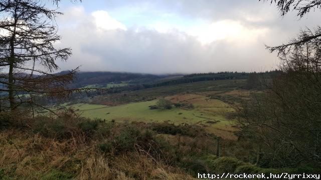 Wicklow dombsg