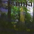 Asynja - through the misty air