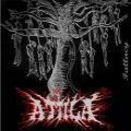 Attila (Usa) - Fallacy