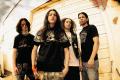 Black Tide