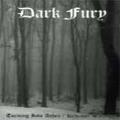 Dark Fury - Turning into Ashes/Krwawy Sztandar