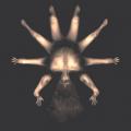 Flop - Torso