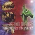 Internal Bleeding - The Extinction of Benevolence