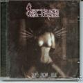 Sextrash - Rape from Hell