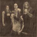 Taake