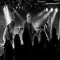 Tortorum